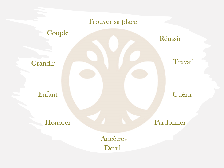 Constellations Familiales 69